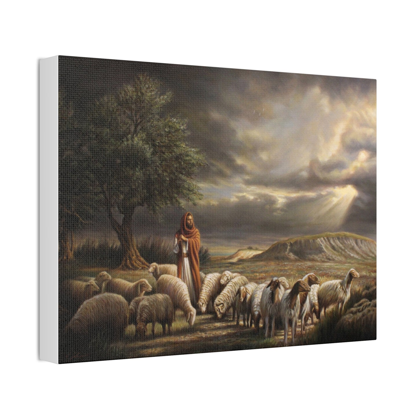 Shepherd and His Sheep - Canvas Print