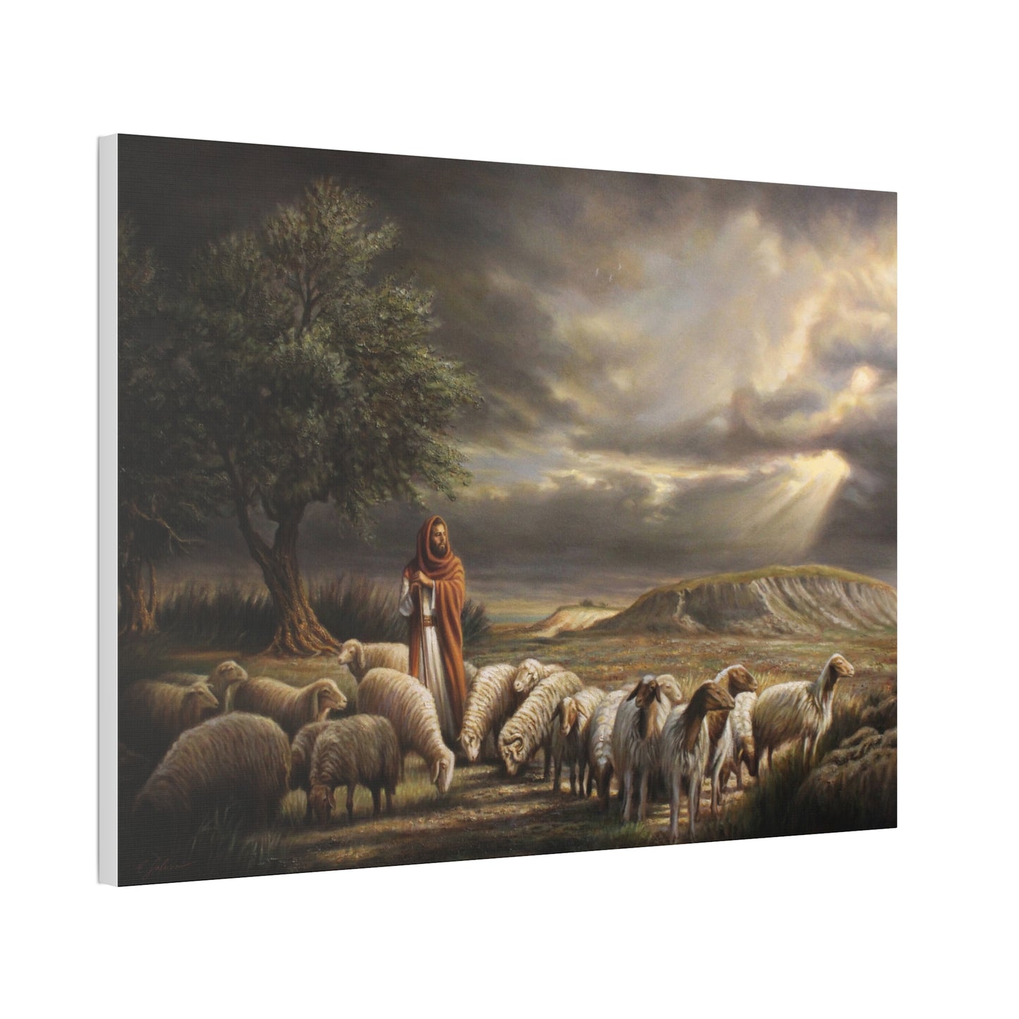 Shepherd and His Sheep - Canvas Print
