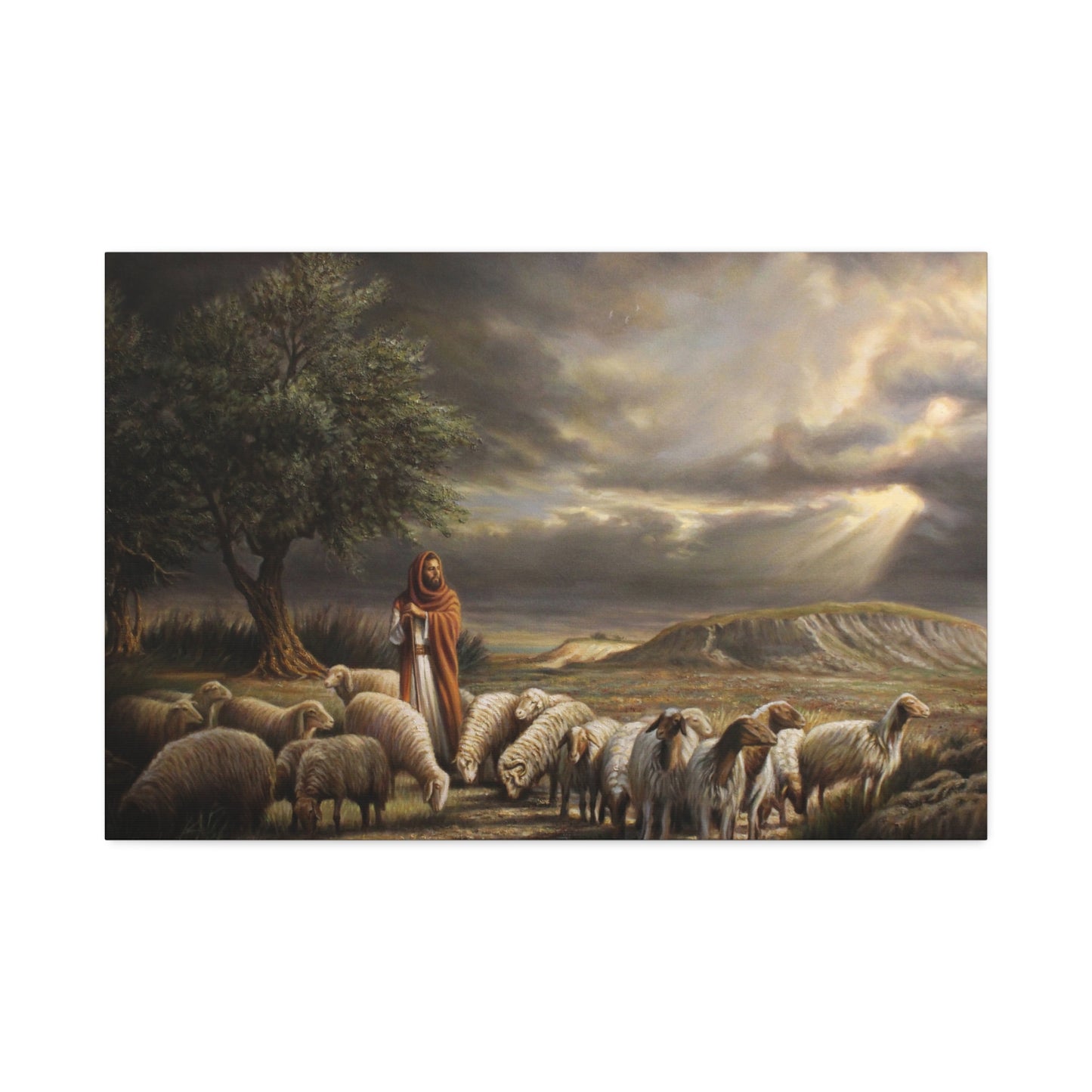 Shepherd and His Sheep - Canvas Print