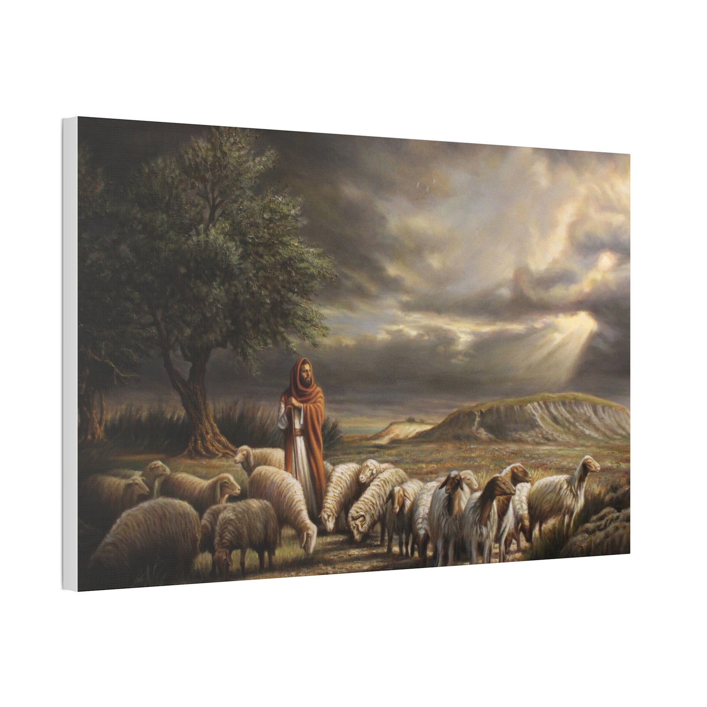 Shepherd and His Sheep - Canvas Print