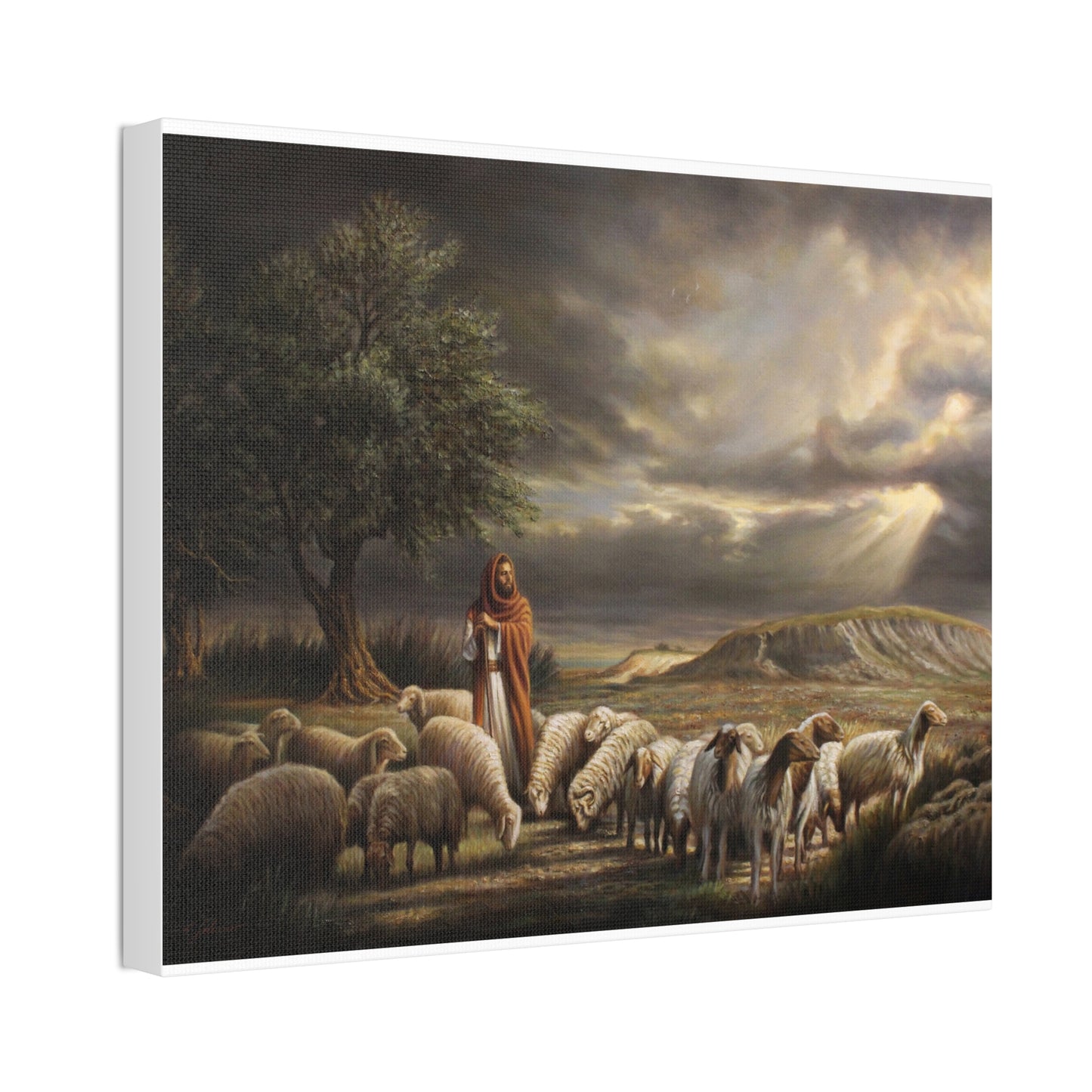 Shepherd and His Sheep - Canvas Print