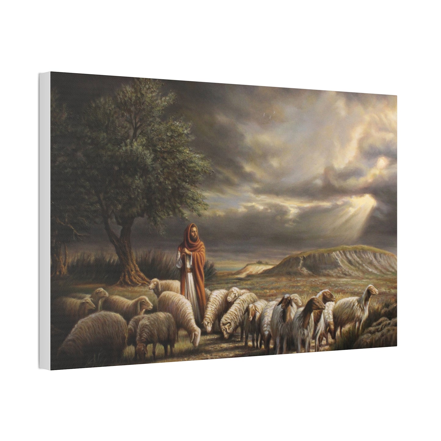 Shepherd and His Sheep - Canvas Print