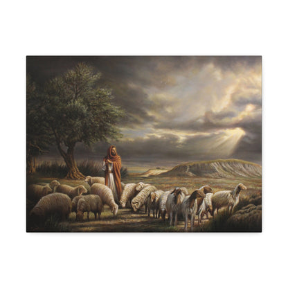 Shepherd and His Sheep - Canvas Print