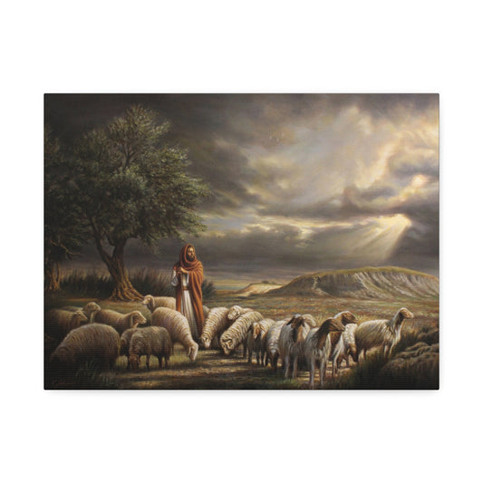 Shepherd and His Sheep - Canvas Print