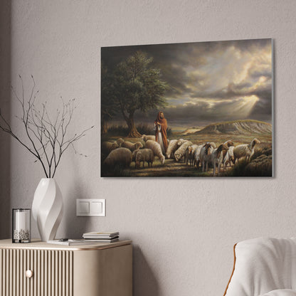 Shepherd and His Sheep - Canvas Print