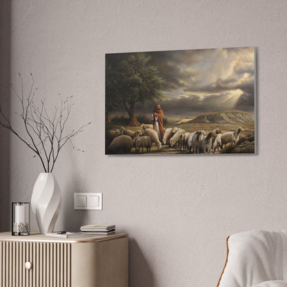 Shepherd and His Sheep - Canvas Print