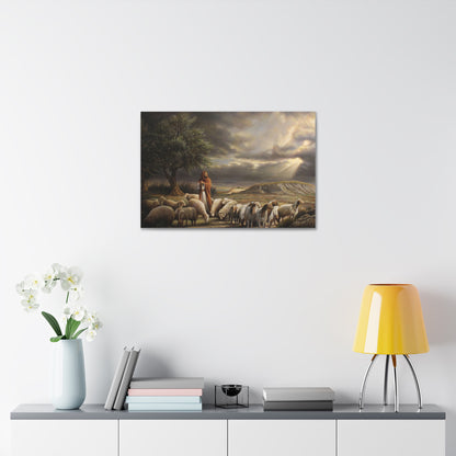Shepherd and His Sheep - Canvas Print