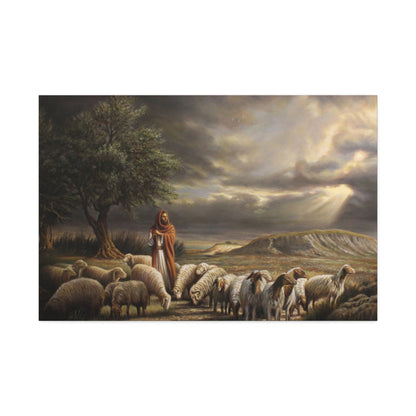 Shepherd and His Sheep - Canvas Print