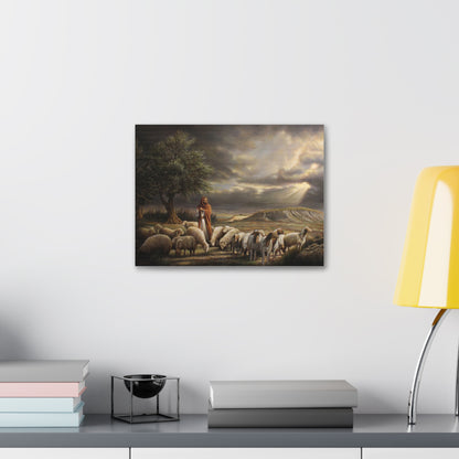 Shepherd and His Sheep - Canvas Print